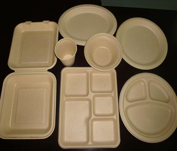 環(huán)保紙漿模塑歷來(lái)發(fā)展與應(yīng)用有哪些？